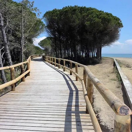 In 37068 Bibione